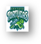 Daytona Tortugas